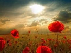 网络上重拳出击导致抑郁焦虑