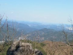 很想走出抑郁怎么办