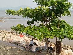 得焦虑症的原因是什么