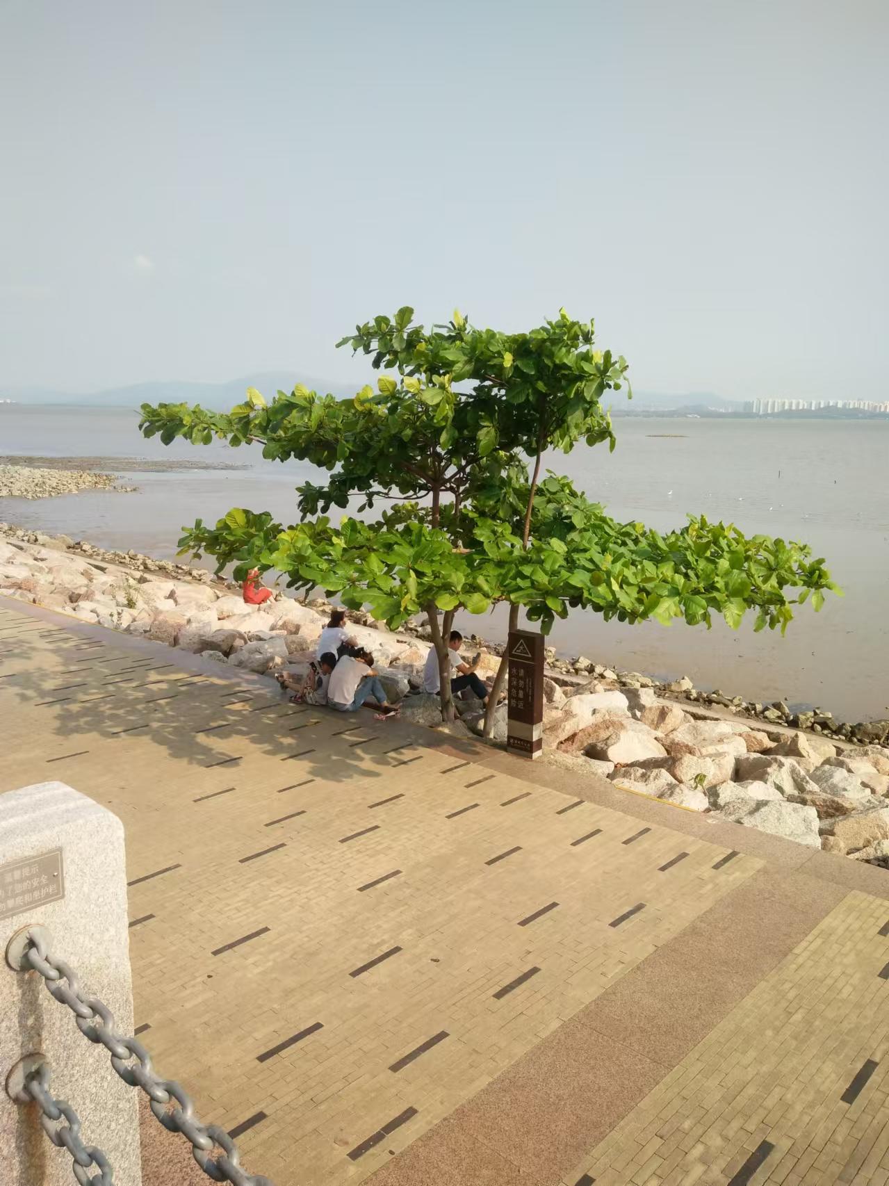 得焦虑症的原因是什么