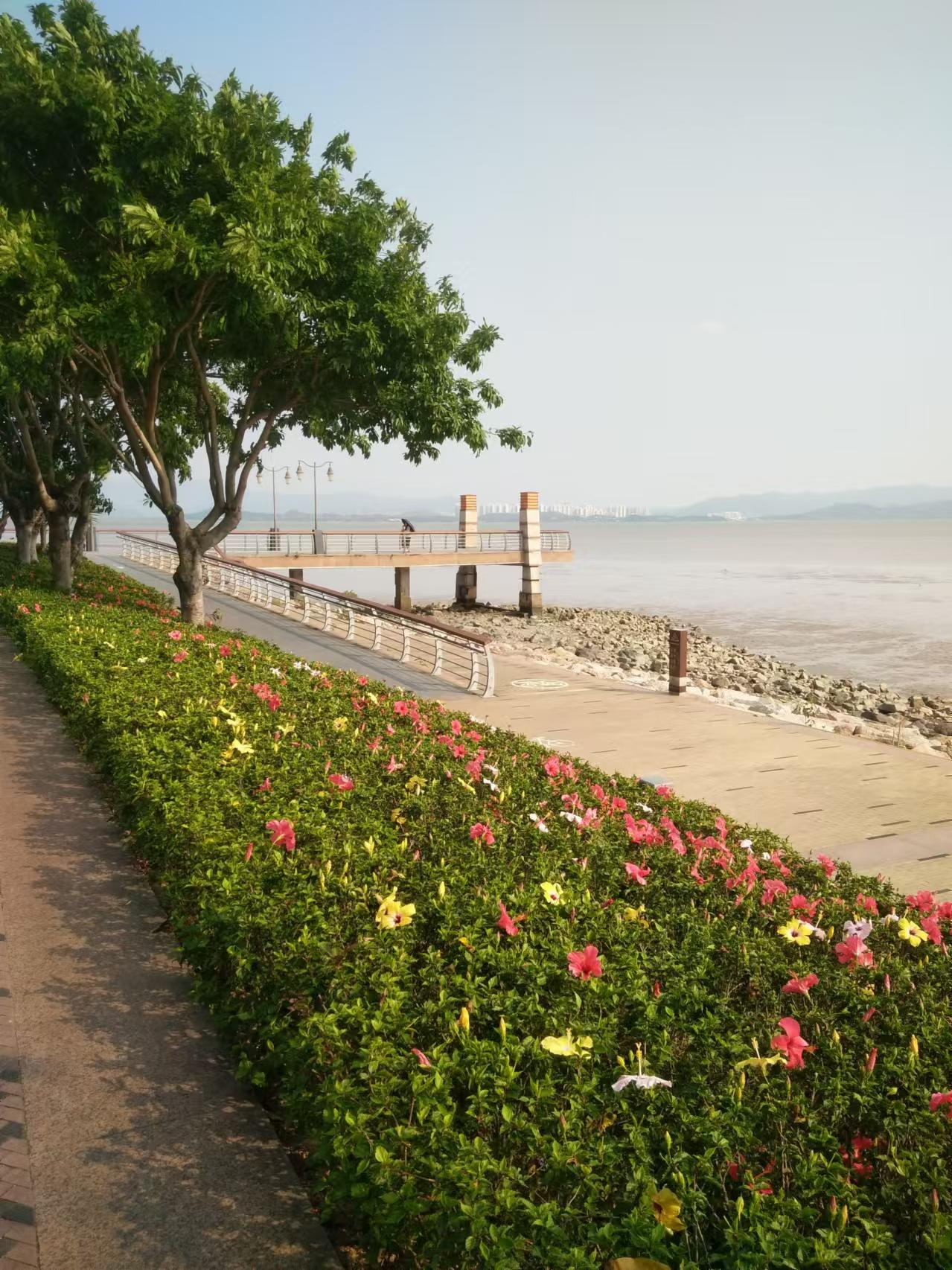 抑郁症是精神病吗