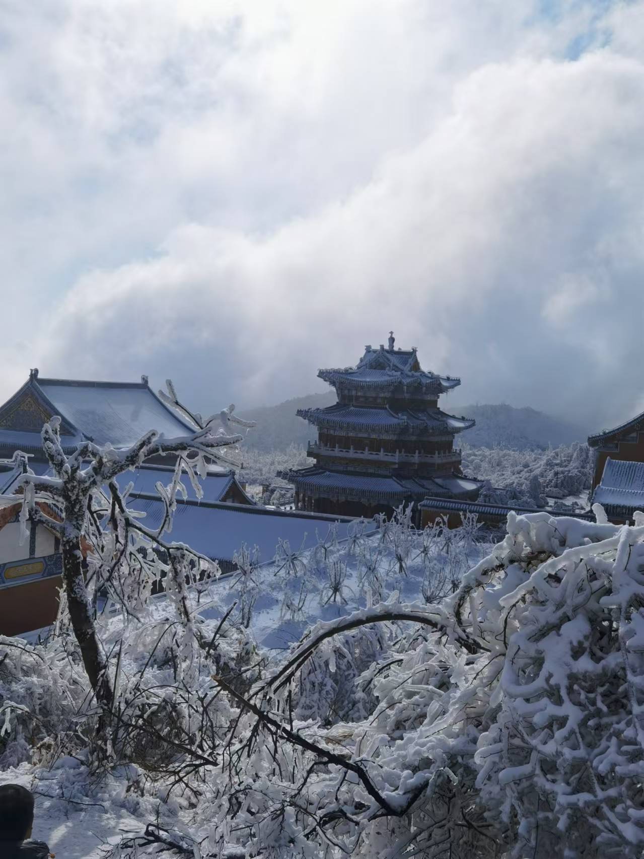 冰冷抑郁的世间