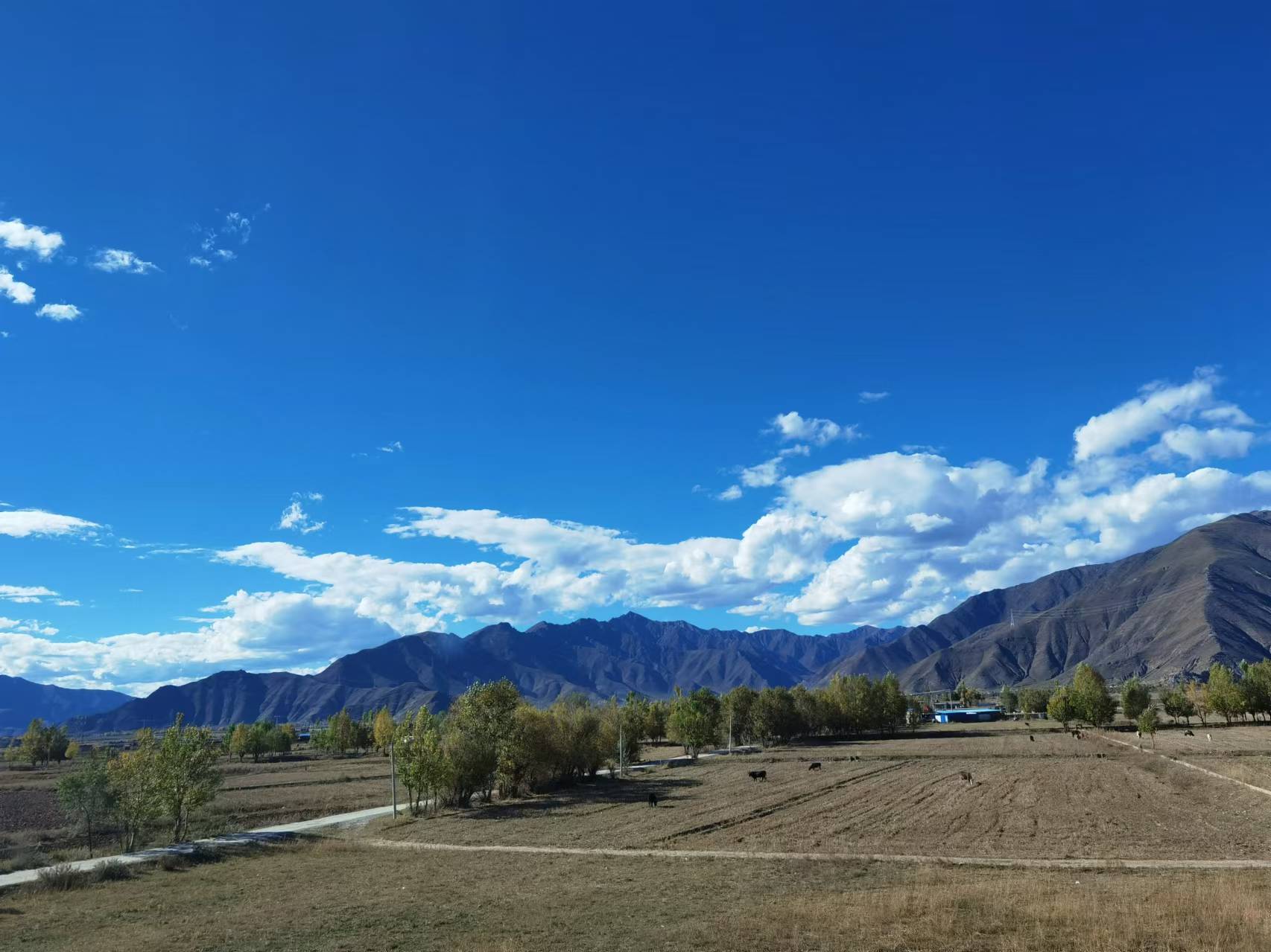 抑郁迷茫焦虑怎么办