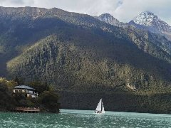 青少年抑郁症发展态势